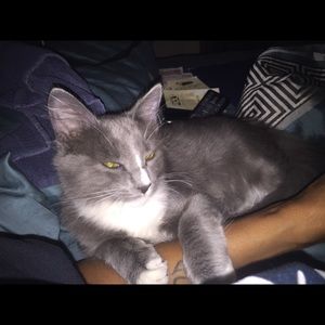 Meet your Posher, Trish